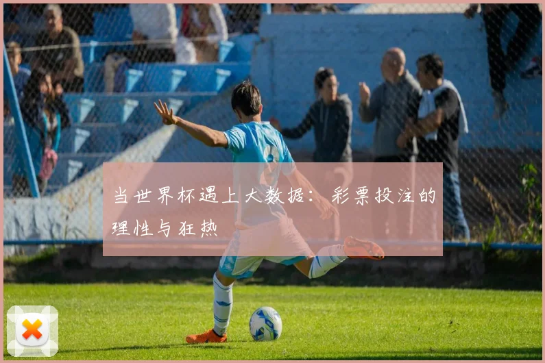 当世界杯遇上大数据：彩票投注的理性与狂热