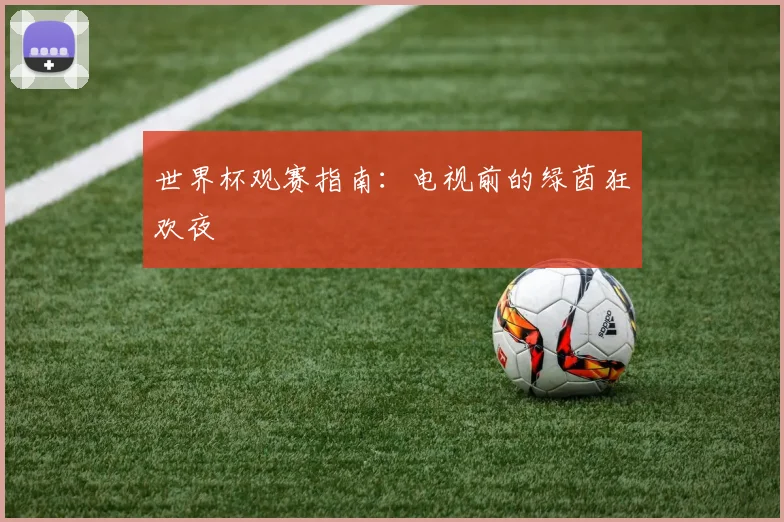 世界杯观赛指南：电视前的绿茵狂欢夜